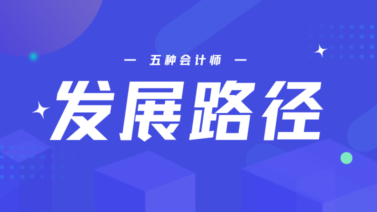 五种会计师的独特发展路径